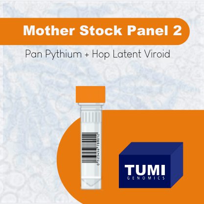 Mother Stock Screening 2 (HLVd + Pan Pythium)