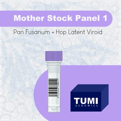 Mother Stock Screening  1 (HLVd + Pan Fusarium)
