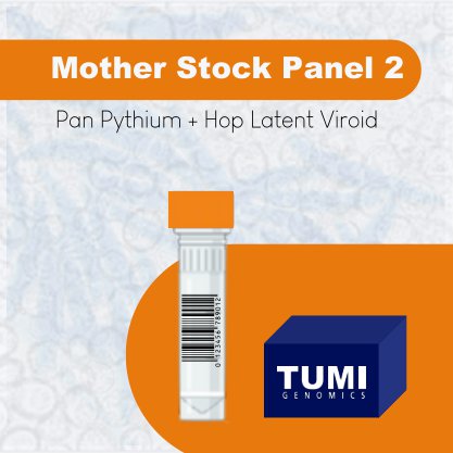 Mother Stock Screening  2 (HLVd + Pan Pythium)